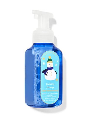 Bathandbodyworks Foaming Hand Soap Мило-пінка з ароматом Feeling Frosty 259 ml bath073 фото