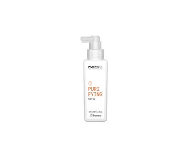 Morphosis Purifying Spray, Спрей против перхоти для чувствительной кожи головы 100 ml A03552 фото